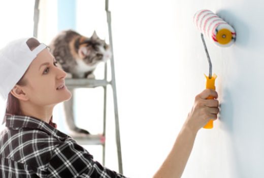 Girl painter, designer and worker paints a roller and brush the wall